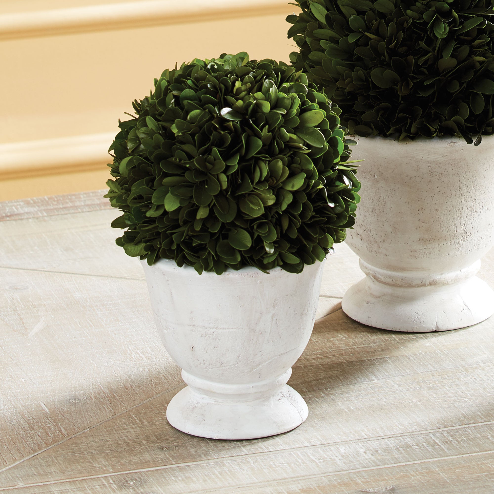 Real English boxwoods, preserved and painstakingly assembled by our masterful artists. Artfully arranged and preserved to perfection. Paired with a simple white matte ceramic pot, a perfect accent for entry or anywhere. Amethyst Home provides interior design, new construction, custom furniture, and area rugs in the Los Angeles metro area.