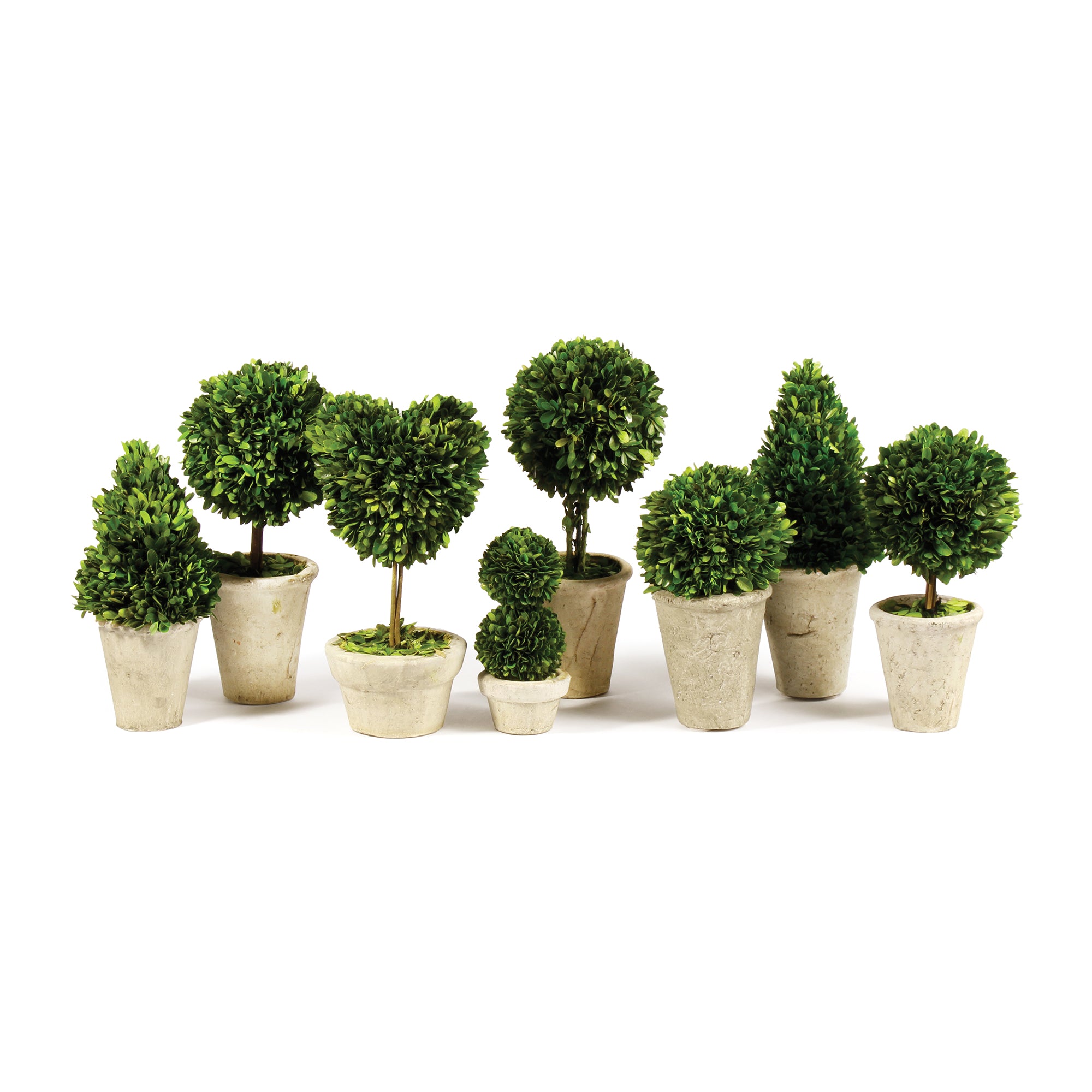 This charming set of 8 mini's are real English boxwoods, preserved and painstakingly assembled by our masterful artists. Artfully arranged and preserved to perfection. A sweet little set for home office or scattered around a bookshelf to add some  whimsy. Amethyst Home provides interior design, new construction, custom furniture, and area rugs in the Park City metro area.