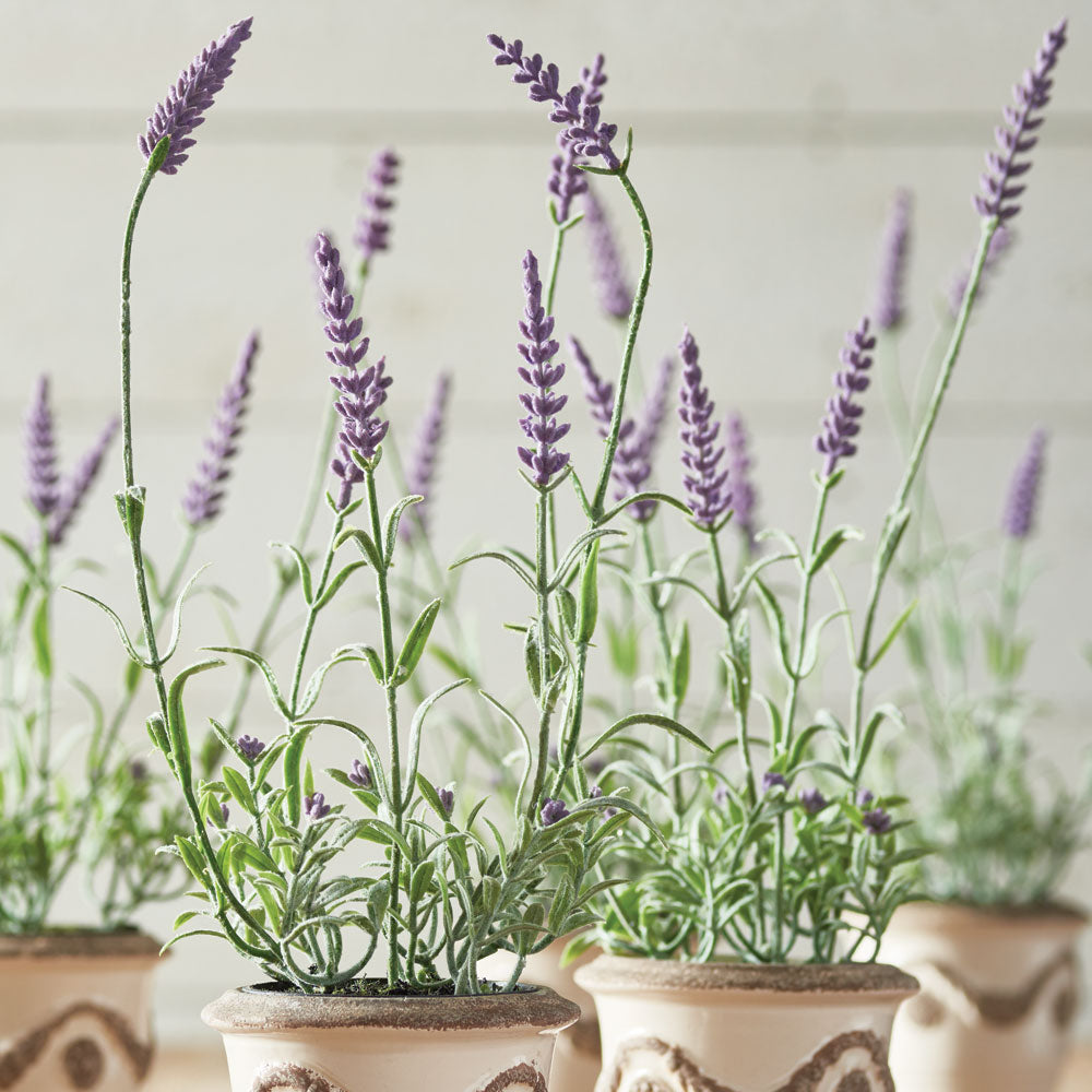 From the mini growers pot to the tone and texture of each leaf, our herbs are 100% realistic. All that's missing is the maintenance. Amethyst Home provides interior design, new construction, custom furniture, and area rugs in the Monterey metro area.