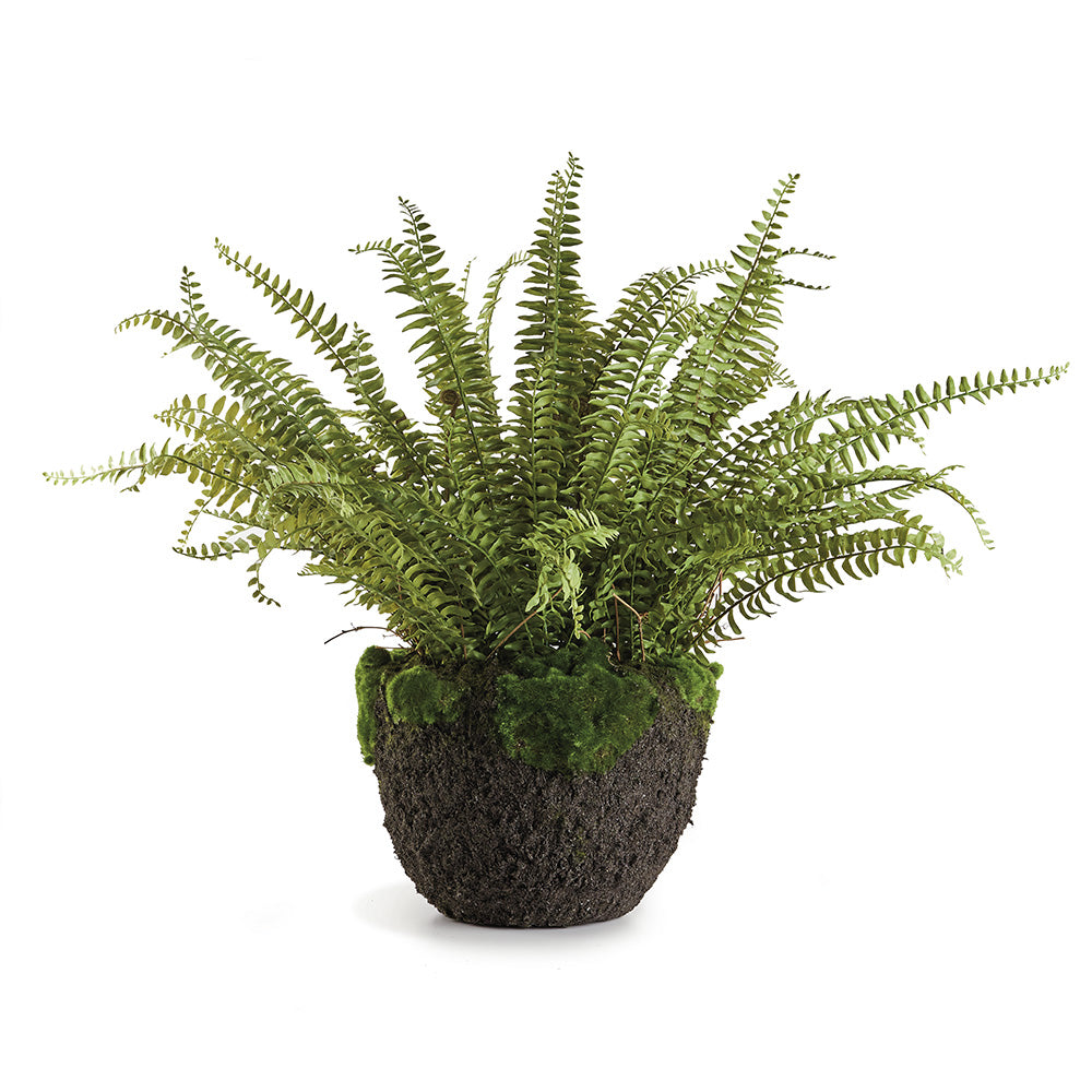 100% realistic- an absolutely perfect copy of the Grand Boston Fern. So authentic you have to remind yourself not to water it. Amethyst Home provides interior design, new construction, custom furniture, and area rugs in the Portland metro area.