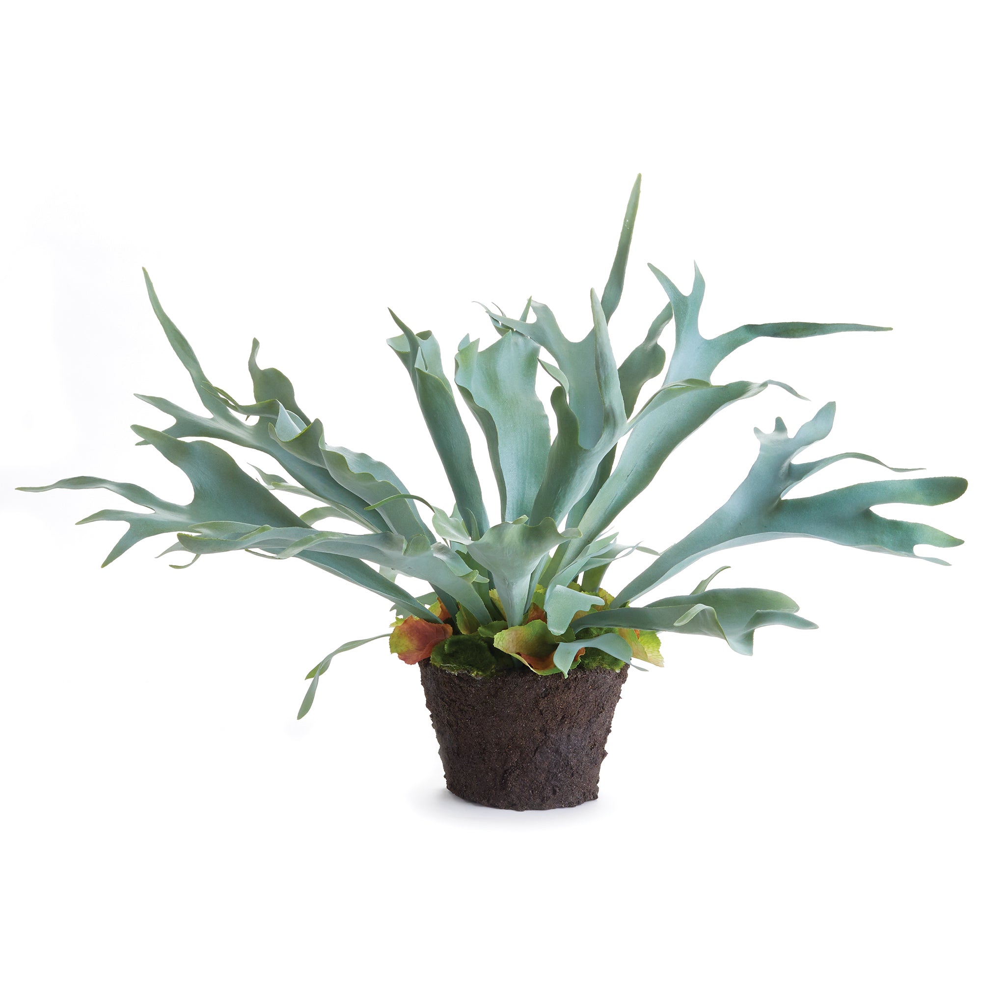 The Staghorn Fern is full of high drama, and sure to be a conversation starter. Typically found in wall configurations, we bring this uniquely free-standing beauty to the table. Amethyst Home provides interior design, new construction, custom furniture, and area rugs in the Scottsdale metro area.