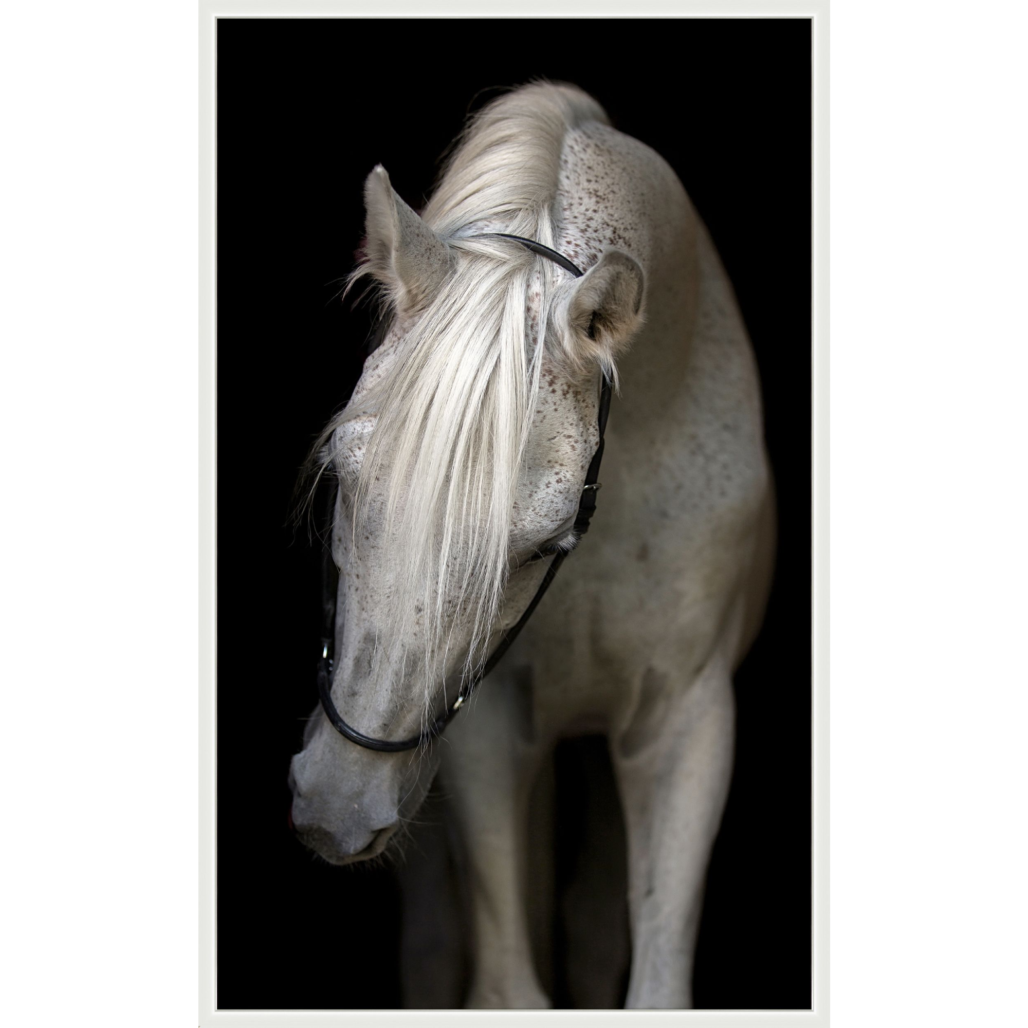 The Pasha art piece is a chic addition to your space. This view of horse art gives a brings a sense of peace and comfort to any room. Amethyst Home provides interior design services, furniture, rugs, and lighting in the Kansas City metro area.
