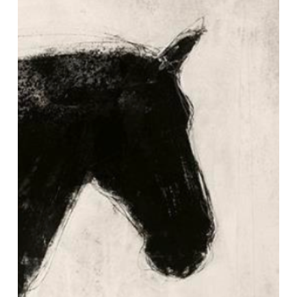 Equine Imprint Art