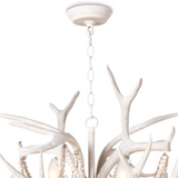Rustic meets luxe vibe with this Cheyanne Antler Chandelier by Regina Andrew. The antlers matched with the tea stained crystals make a statement in any living room, entryway or other area needing extra light.   Overall Dimensions: 33"w x 33"d x 40"h