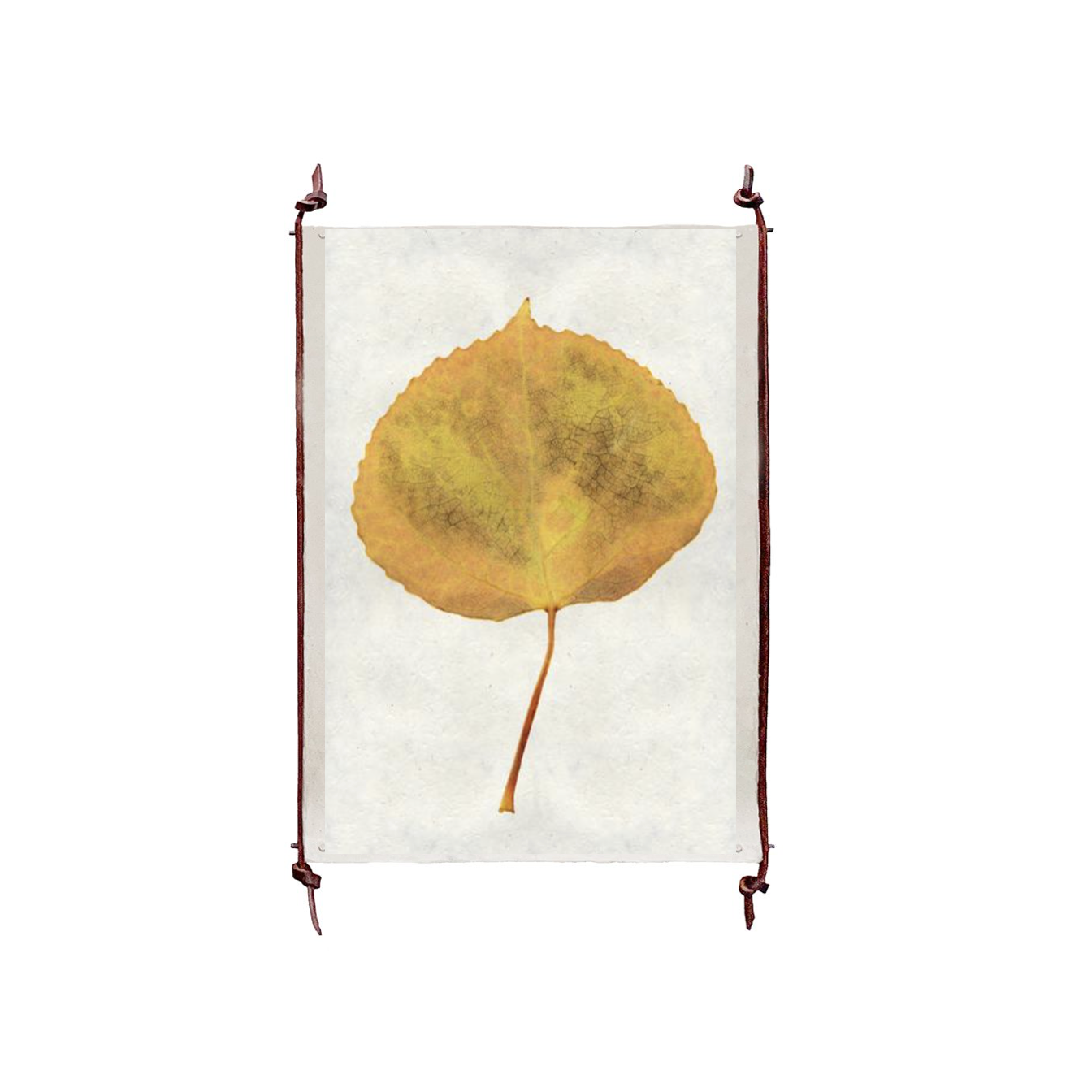 This Aspen is made from raw edge handmade paper from Nepal. Hang in your kitchen, living room, or bedroom to bring the space some organic, raw character!  Fine art prints  Pencil signatureThis Aspen is made from raw edge handmade paper from Nepal. Hang in your kitchen, living room, or bedroom to bring the space some organic, raw character!  Fine art prints  Pencil signature