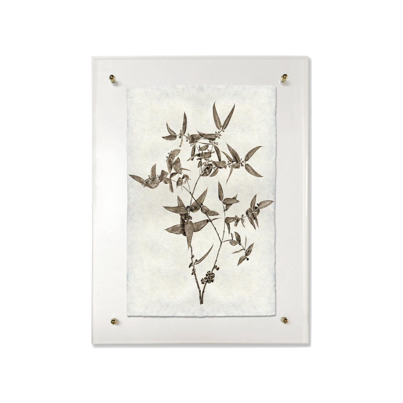 This Eucalyptus #3 is made from raw edge handmade paper from Nepal. Hang in your kitchen, living room, or bedroom to bring the space some organic, raw character!  Fine art prints  Pencil signature