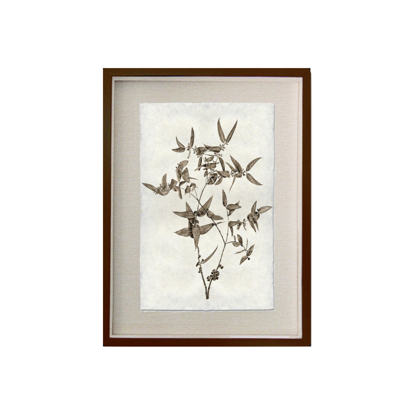 This Eucalyptus #3 is made from raw edge handmade paper from Nepal. Hang in your kitchen, living room, or bedroom to bring the space some organic, raw character!  Fine art prints  Pencil signature