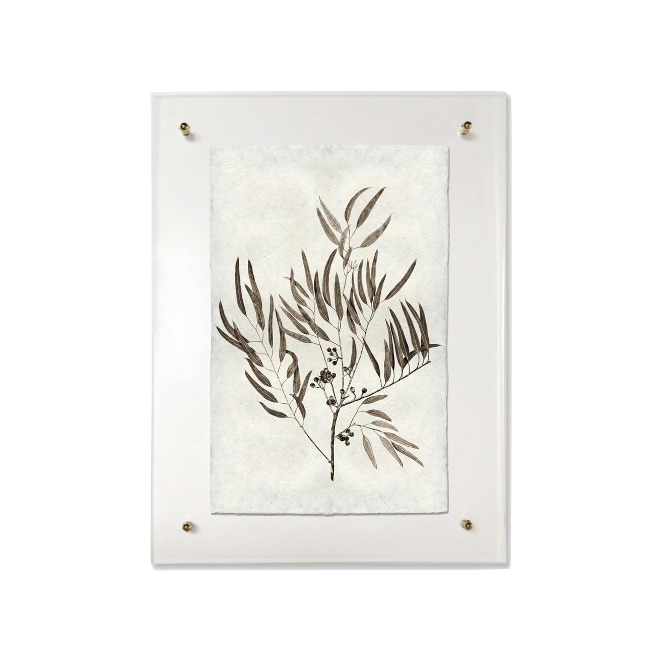 This Eucalyptus #4 is made from raw edge handmade paper from Nepal. Hang in your kitchen, living room, or bedroom to bring the space some organic, raw character!  Fine art prints  Pencil signature
