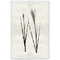 Grass Form - Amethyst Home