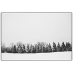 Pine Line Art by Alicia Bock is a stunning black and white piece, capturing the raw beauty and silence that comes with fresh snow.  Product Type: Giclee Finish: Image Brush Gel Size: 45"w x 30"h without frame