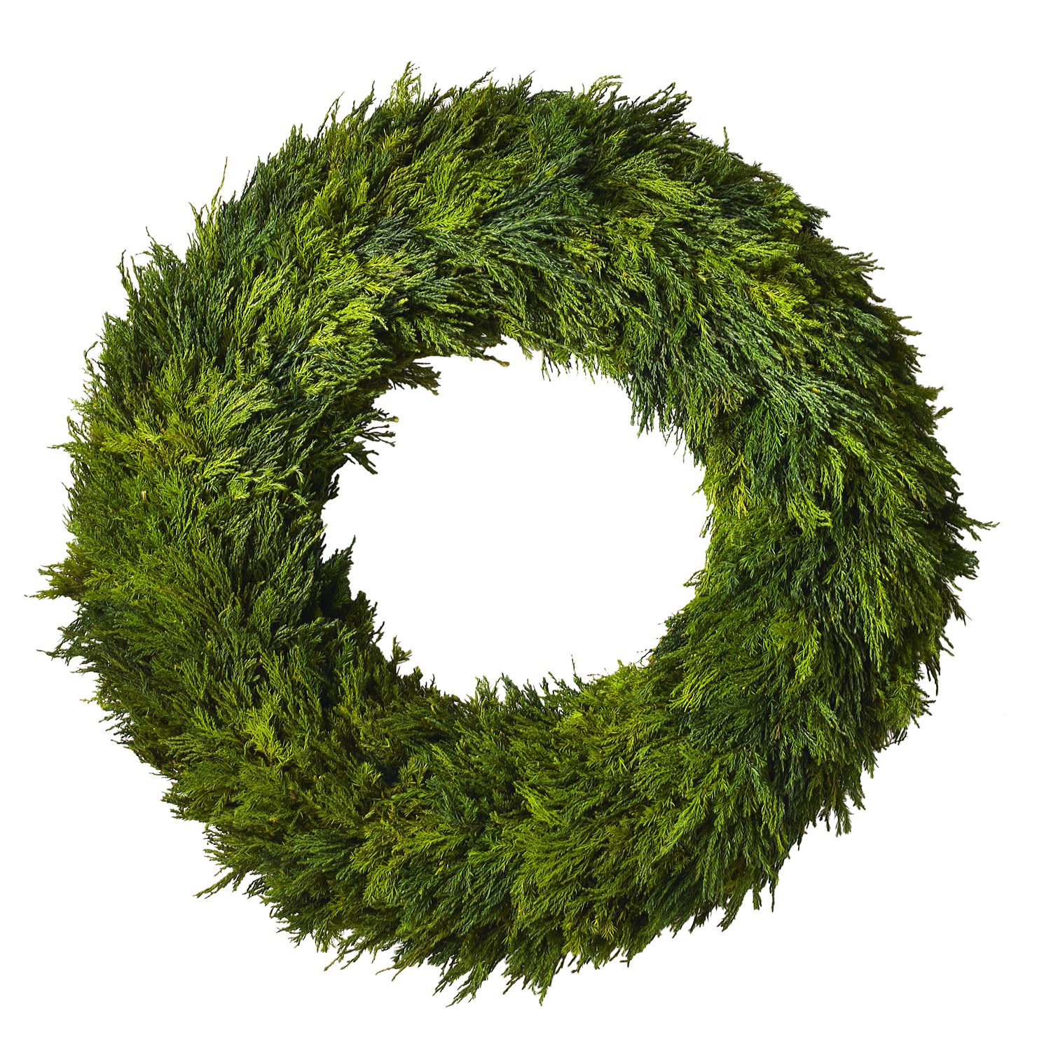 Spruce up your door or home for the Holidays with this Preserved Cypress Wreath 24". Made from preserved Cypress, this brings a source of life to any room!  Material: Dried Foliage Dimensions: 3.5": x 23.5" x 23.5"