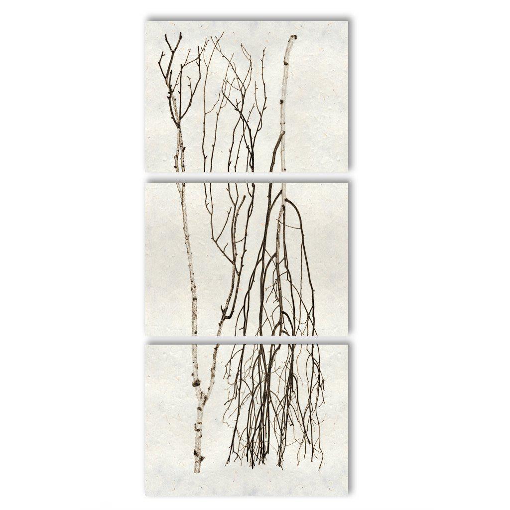 Each triptych of gorgeous birch branches is comprised of three panels with a black frame on natural paper. Where applicable, trilogies are signed on the corner so that they can be hung either vertically or horizontally. Orientation for signatures and hangers will follow the images on the left.  Framed size per panel: 24 x 31.5 Overall size*: 31.5 x 74 * Overall size includes three panels with one inch of spacing in between 